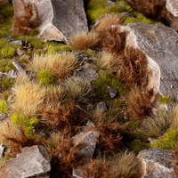 Spikey Brown - Wild