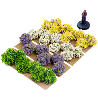 Border Plants