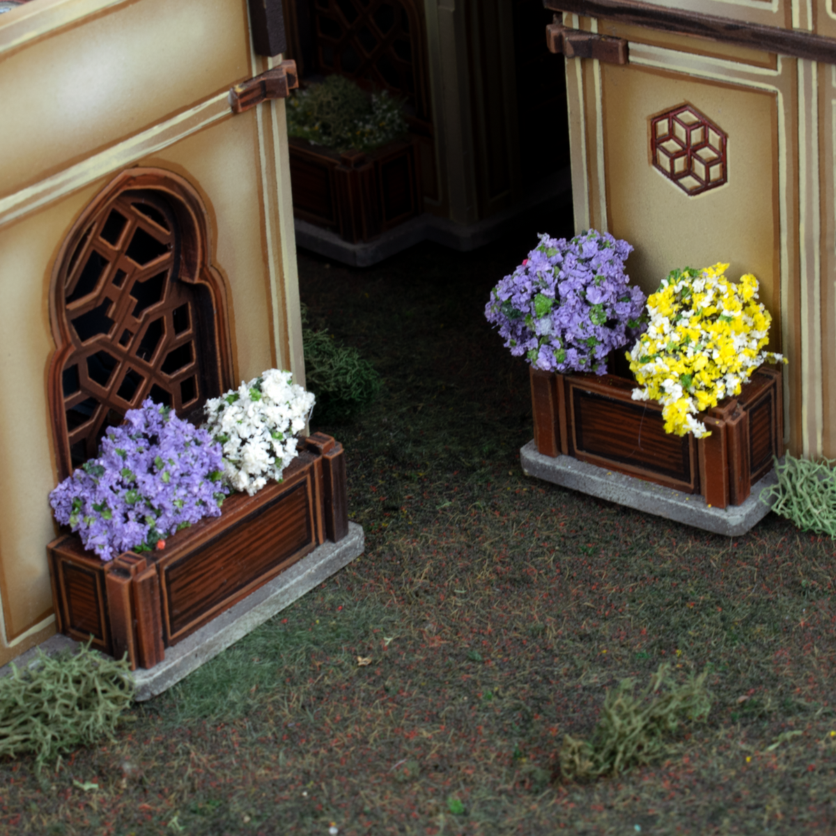 Border Plants