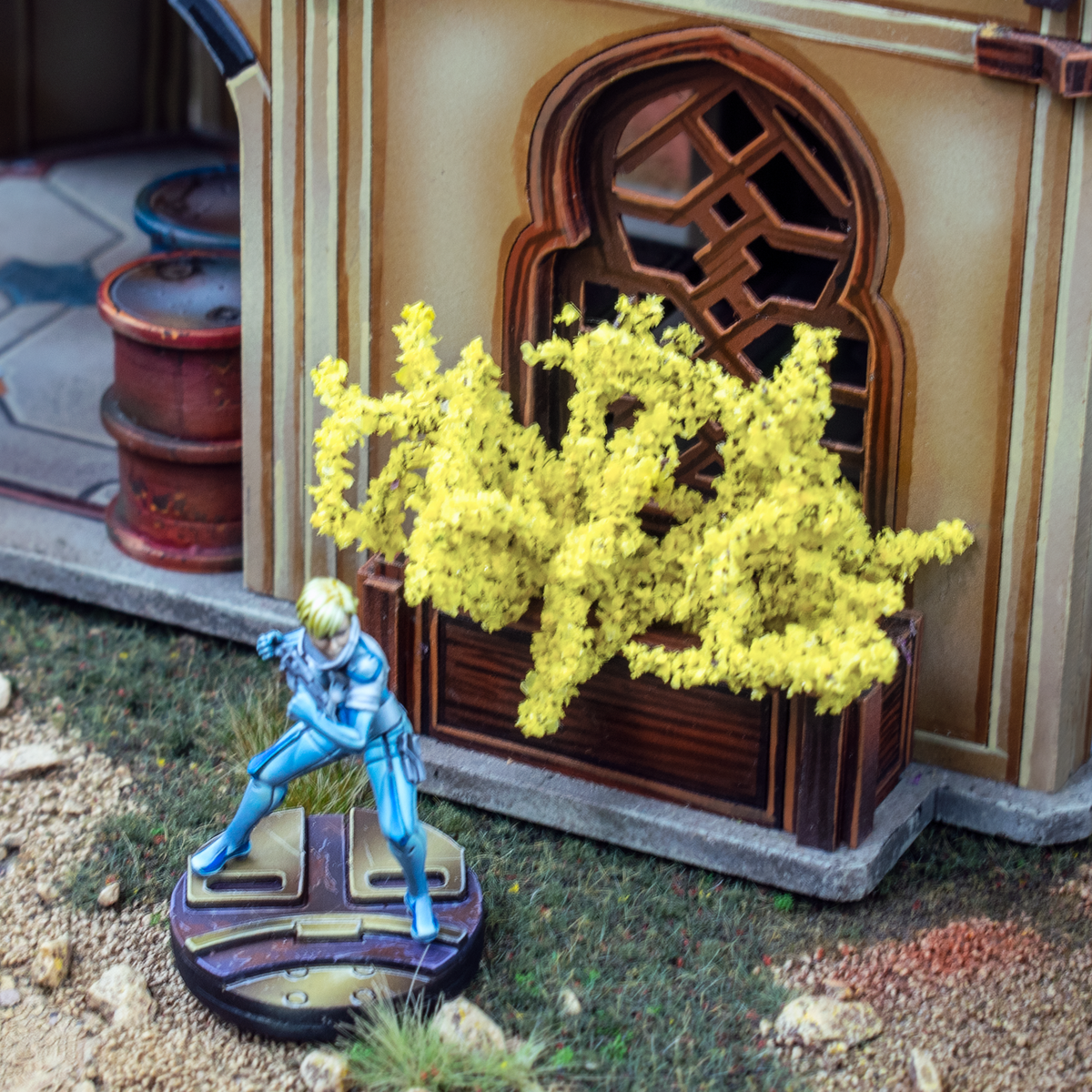 Forsythia Bushes
