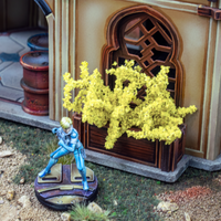 Forsythia Bushes