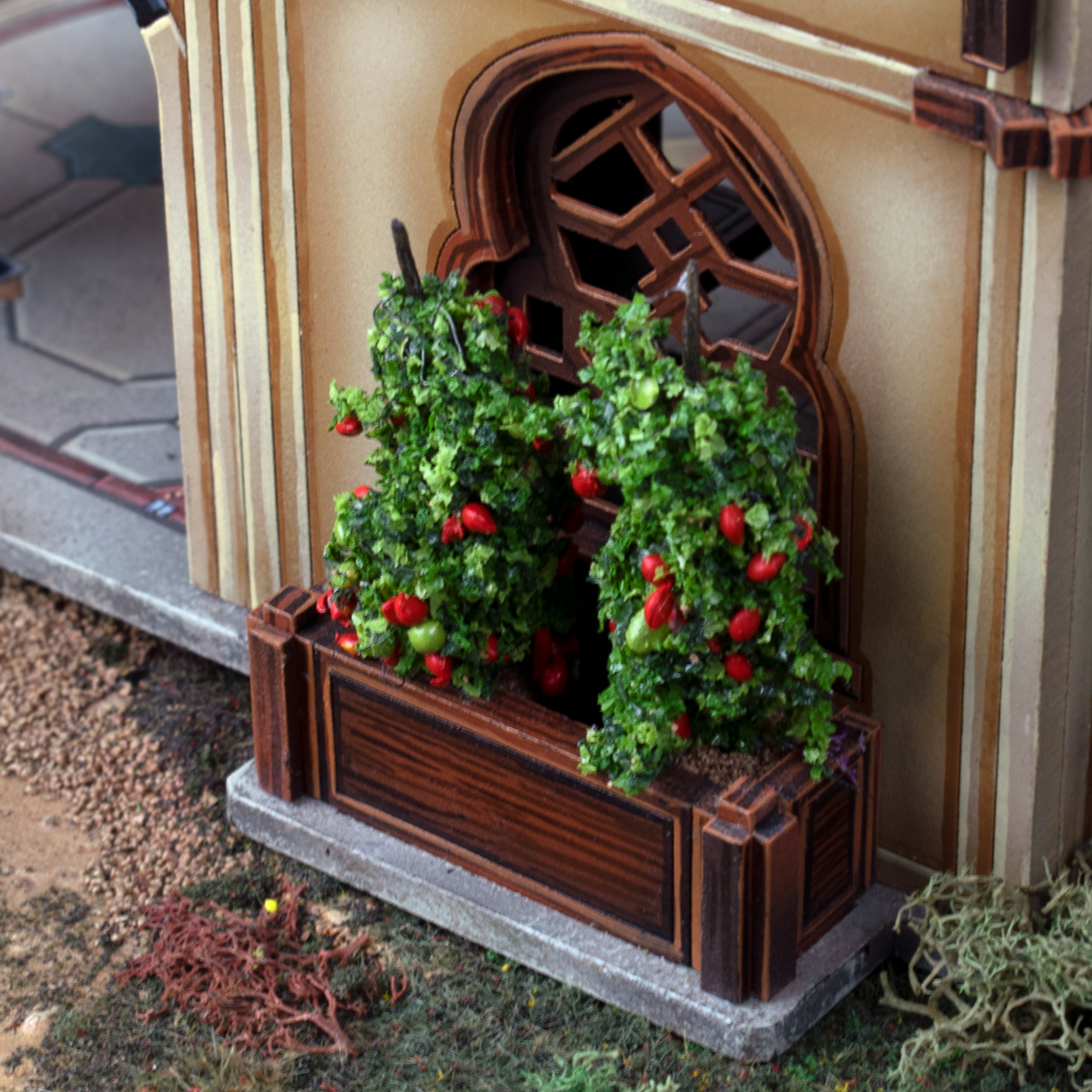 Tomato Plants