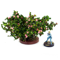 Wild Rose Bush (large)