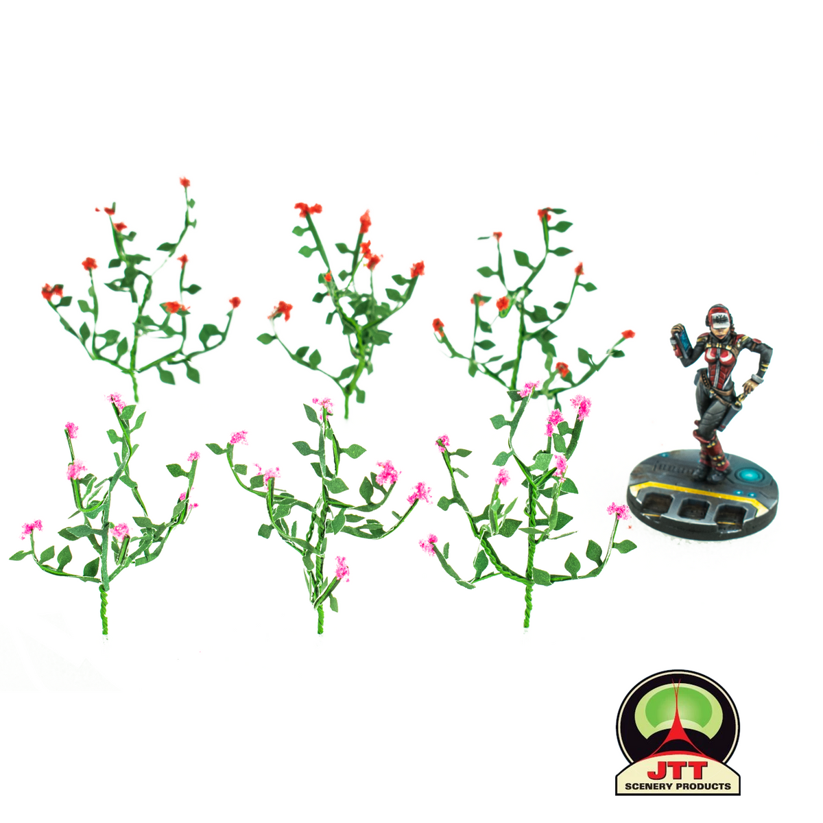 Rose Bushes