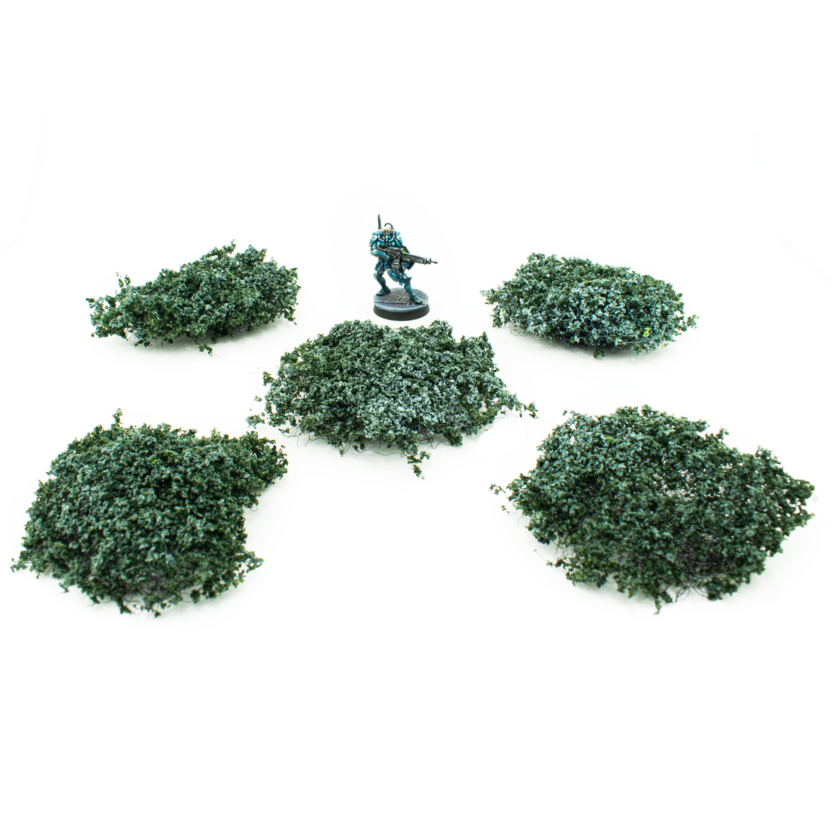 Wild Bushes