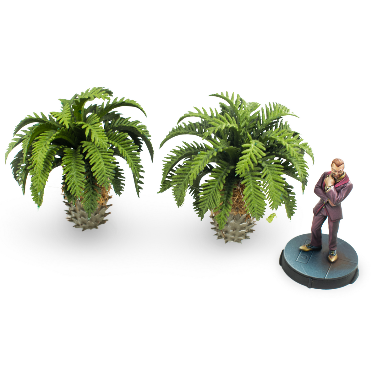 Sago Palm