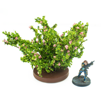 Wild Rose Bush (small)
