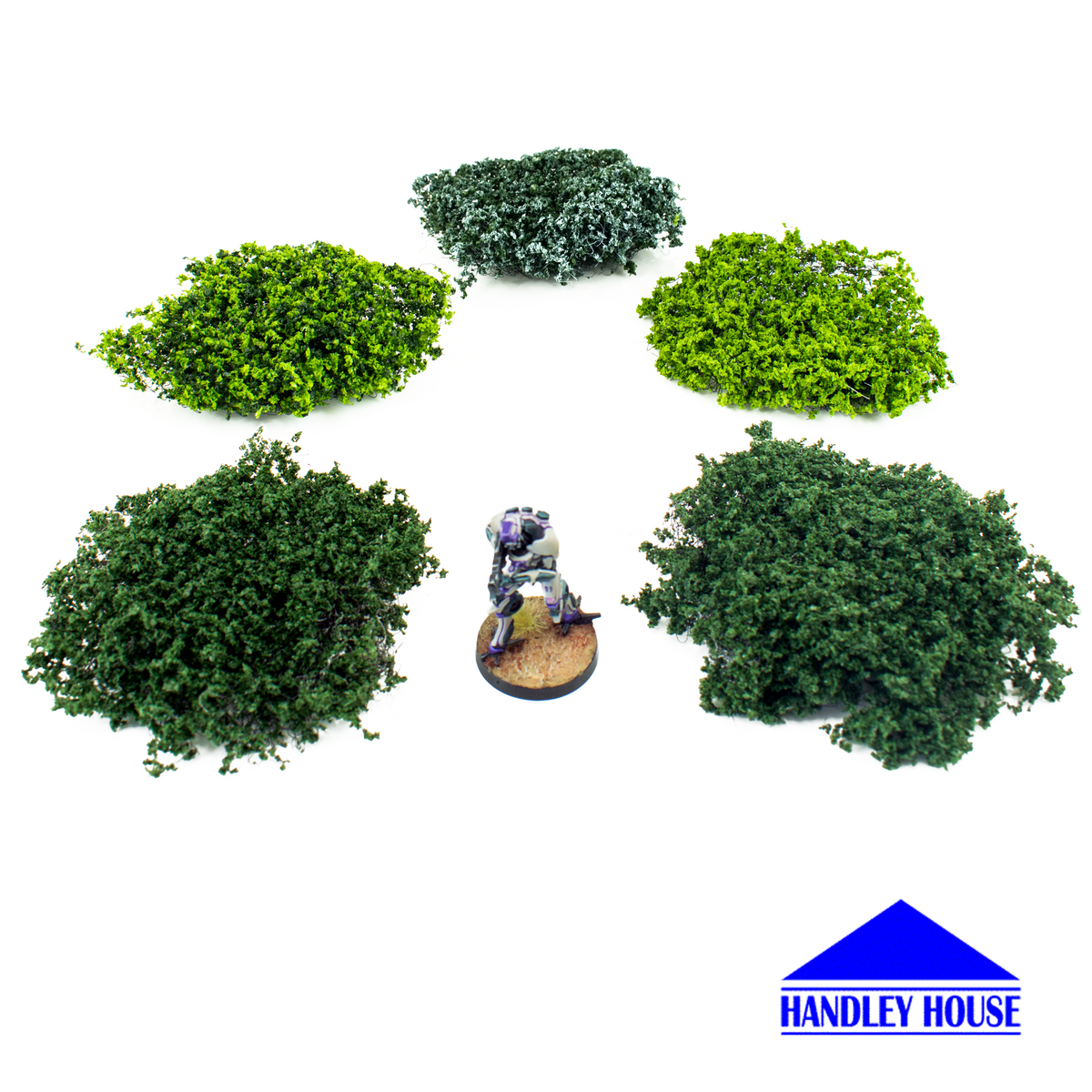 Wild Bushes