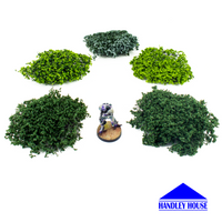 Wild Bushes