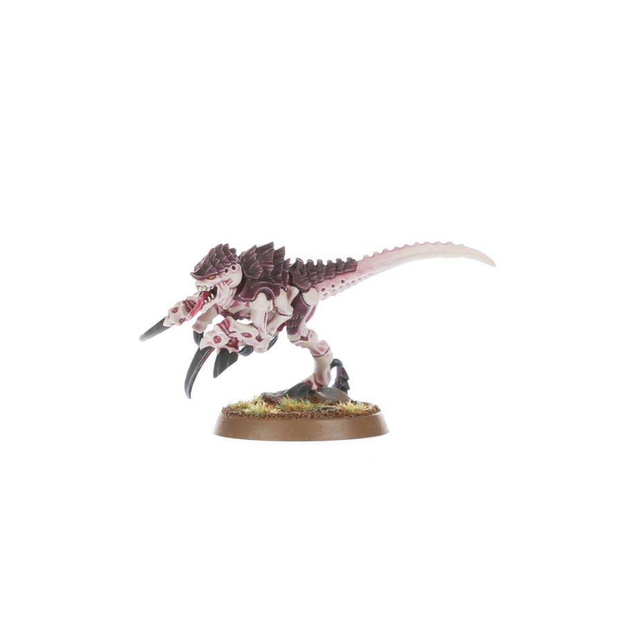 Battleforce: Tyranid Swarm