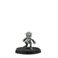 Gui Feng Xi Zhuang (Combi Rifle) [JANUARY PRE-ORDER]