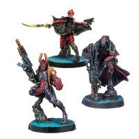 Shasvastii Expansion Pack Delta [JULY PRE-ORDER]