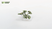 Laser Plants - Bugloss