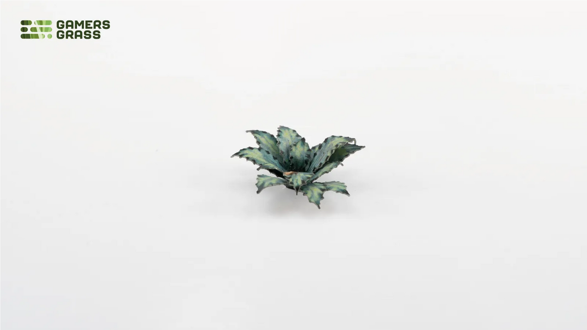 Laser Plants - Blue Agave