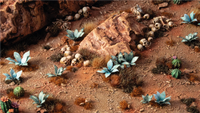 Laser Plants - Blue Agave