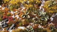 Laser Plants - Bugloss