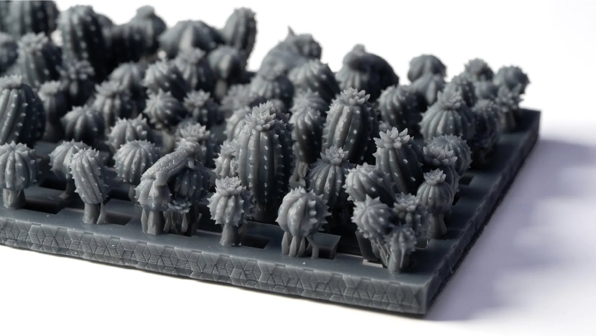 Basing Bits: Barrel Cacti