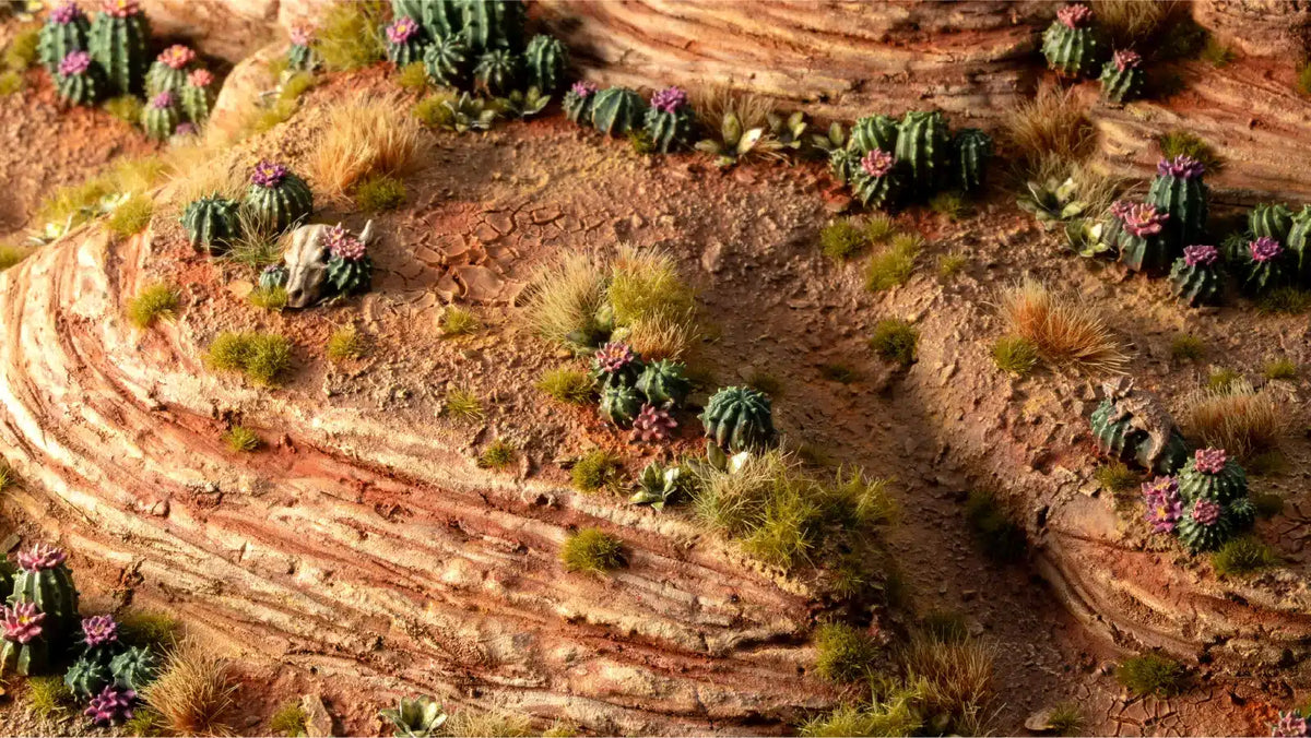 Basing Bits: Barrel Cacti