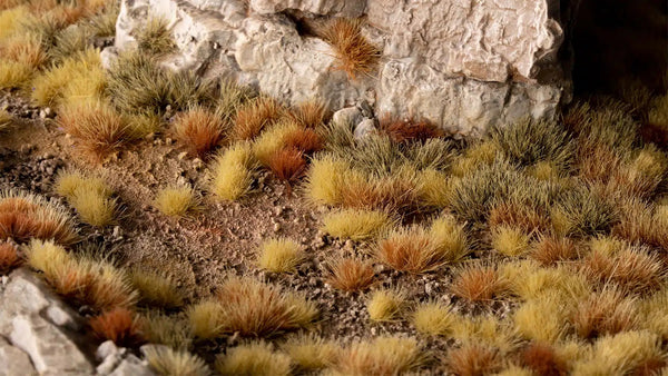 Set - Dry Steppe - Wild