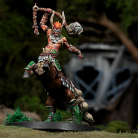 Eachann, the Great Centaurelf [FEBRUARY PRE-ORDER]