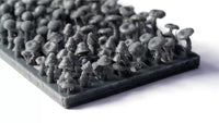 Basing Bits: Forest Mushrooms