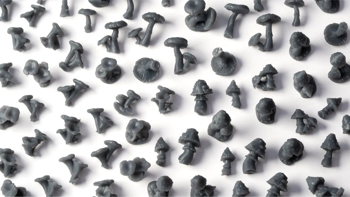 Basing Bits: Forest Mushrooms