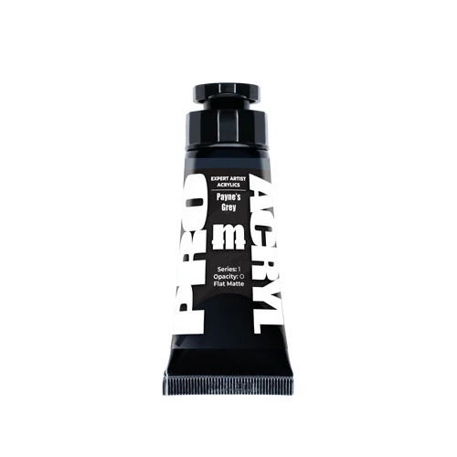 Expert Acrylics 013 - Payne's Grey