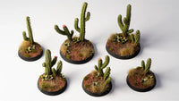 Basing Bits: Saguaro Cacti