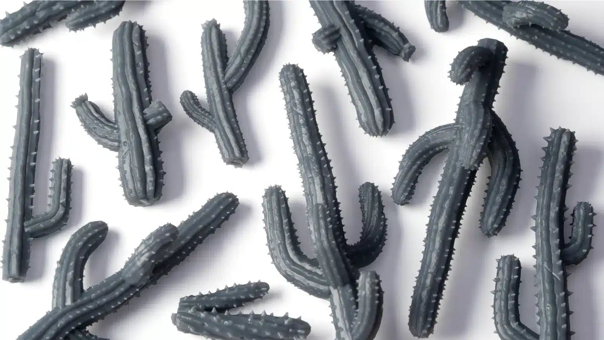 Basing Bits: Saguaro Cacti
