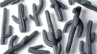 Basing Bits: Saguaro Cacti