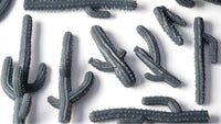 Basing Bits: Saguaro Cacti