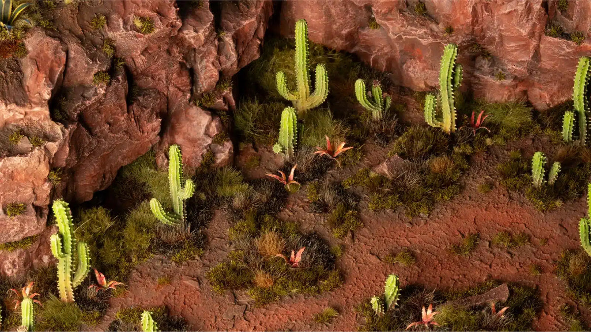 Basing Bits: Saguaro Cacti