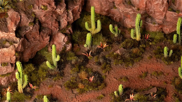 Basing Bits: Saguaro Cacti
