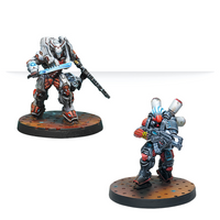 TAG Raid: Nomads Deathmatch Pack