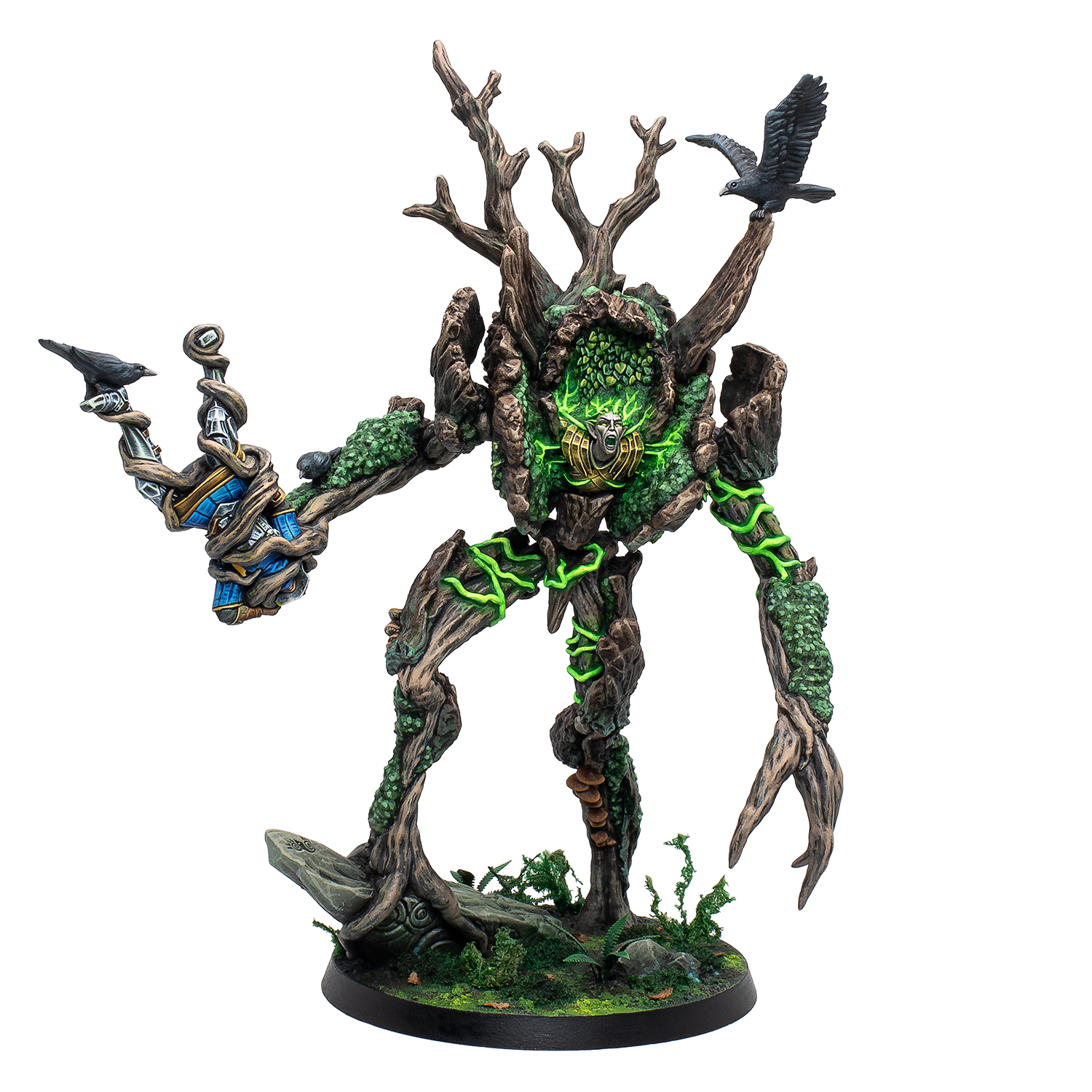 [Image: W0072A-1MossHermit.png?v=1770075012&width=2400]