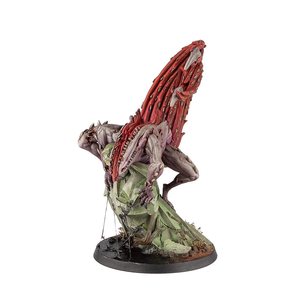 Kipleacht [JUNE PRE-ORDER]