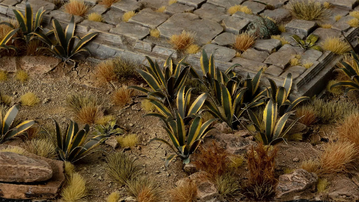 Agave - Laser Plants