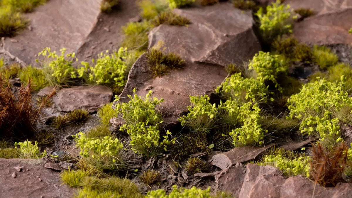 Green Shrubs - Wild