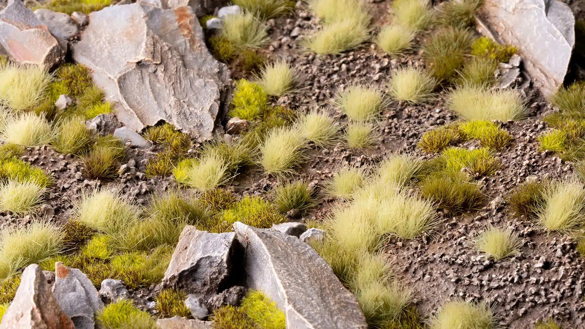 Verde puntiagudo - Salvaje