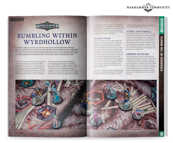 White Dwarf issue 491