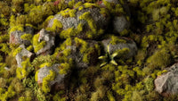 Moss 2MM - Wild