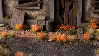 Orange Flowers - Wild