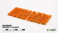 Orange Flowers - Wild