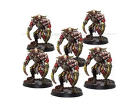 Warcrow Adventures Core Box