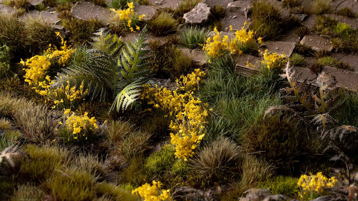 Yellow Flowers - Wild